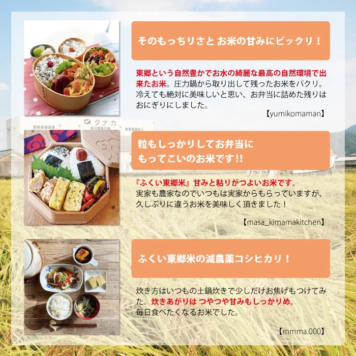 特別栽培米コシヒカリ(農薬・化学肥料1年以上不使用)
