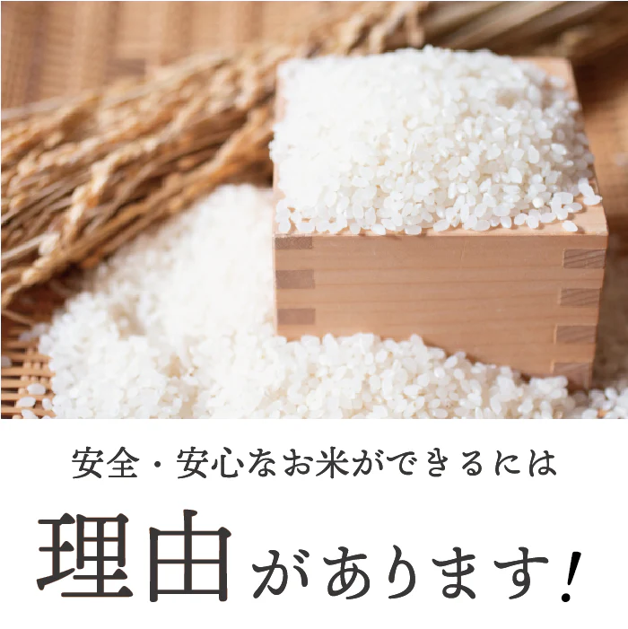 特別栽培米ハナエチゼン(農薬70%以上カット・有機適合肥料使用)