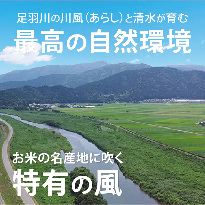 特別栽培米コシヒカリ(農薬・化学肥料1年以上不使用)