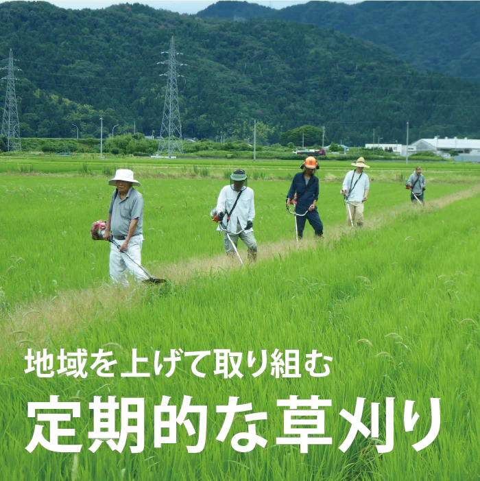 特別栽培米コシヒカリ(農薬・化学肥料1年以上不使用)