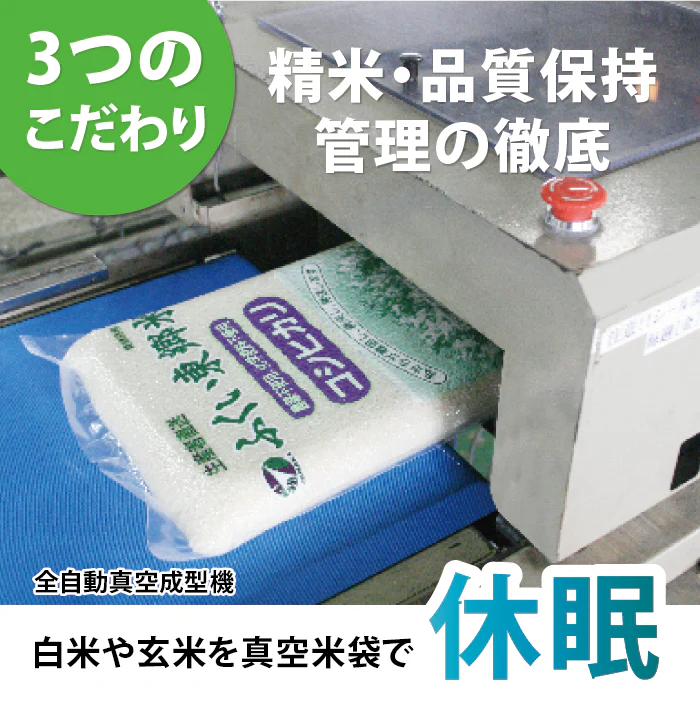 特別栽培米コシヒカリ(農薬・化学肥料1年以上不使用)
