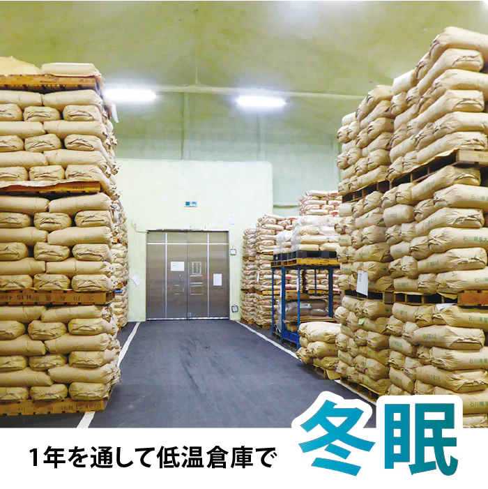 特別栽培米コシヒカリ(農薬・化学肥料1年以上不使用)